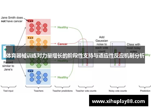 体育器械训练对力量增长的阶段性支持与适应性反应机制分析
